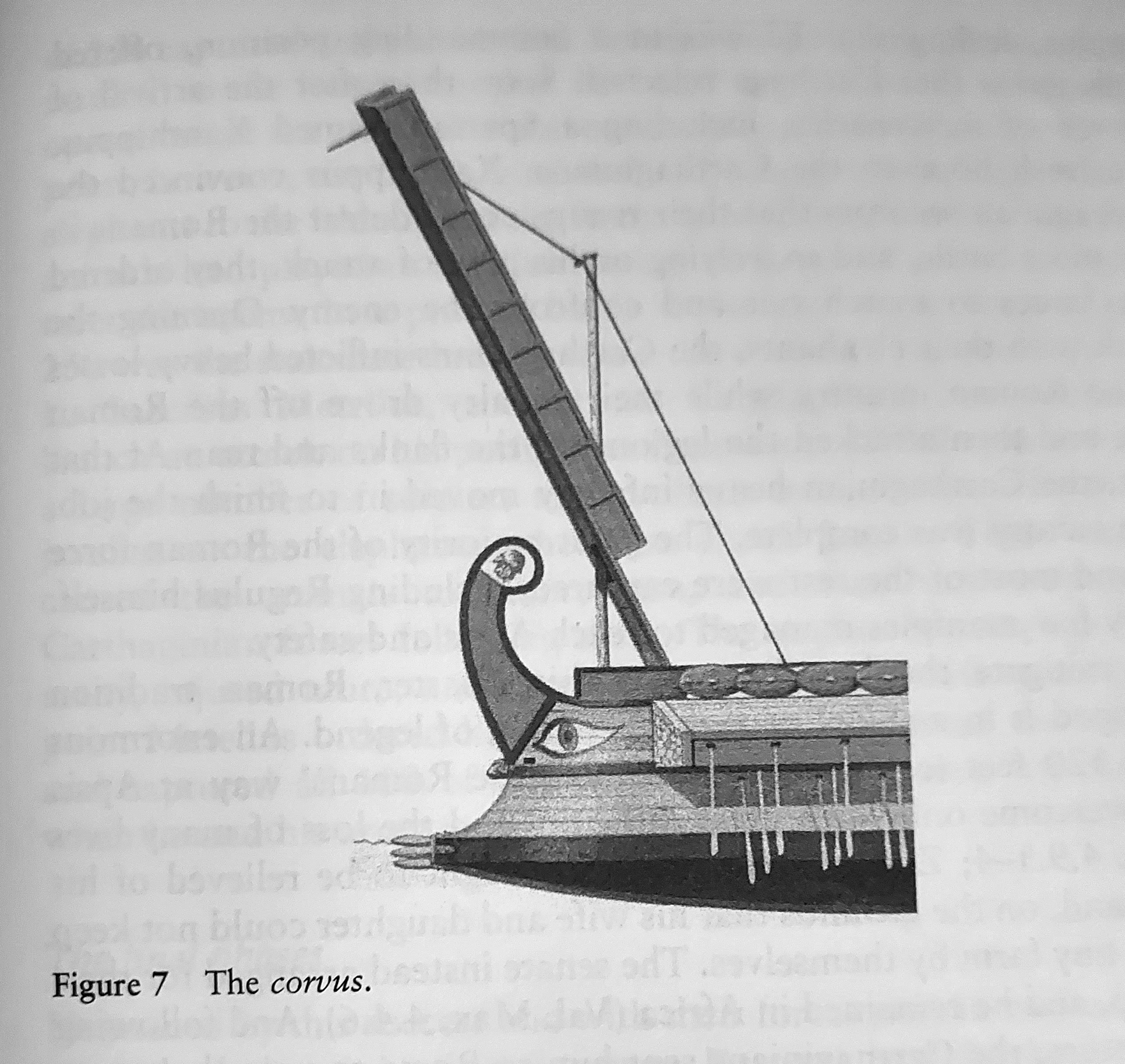 corvus